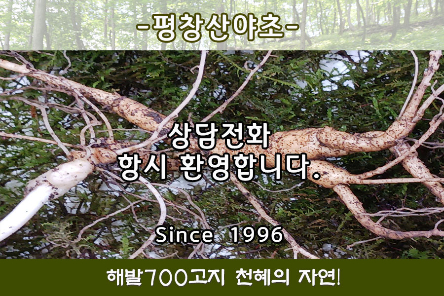 깔끔하고 심플한 레이아웃