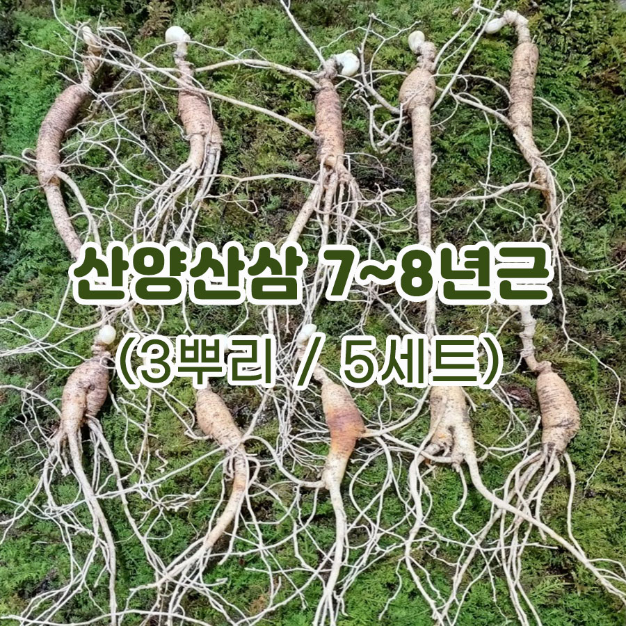 산양산삼 7~8년근(3뿌리/5세트)