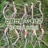 산양산삼 7~8년근(3뿌리/5세트)